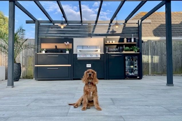outdoor kitchen on decking with dog on decking