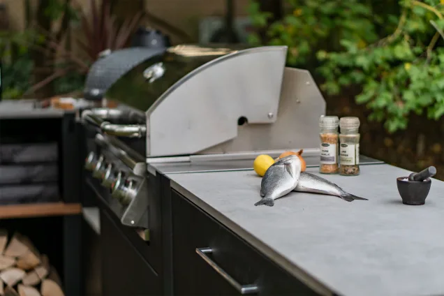 bull gas grill station in grillo outdoor kitchen with fish on cabinet next to it