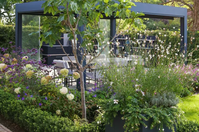 Flowerbed with small tree overlooking outdoor dining area under pergola and outdoor kitchen