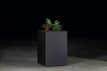grillo planter