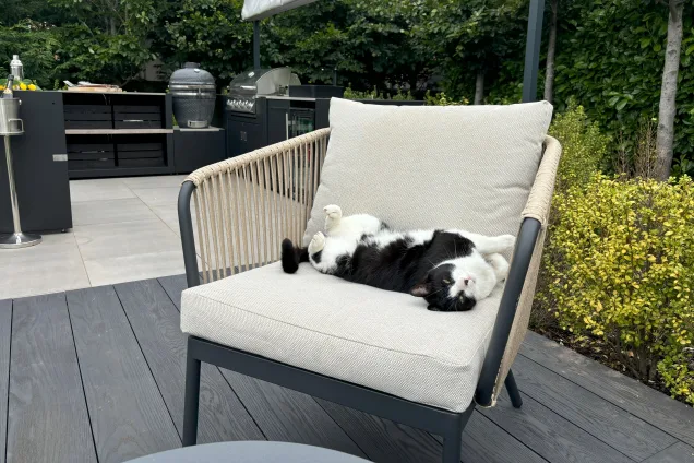 cat on chair next to grillo kitchen