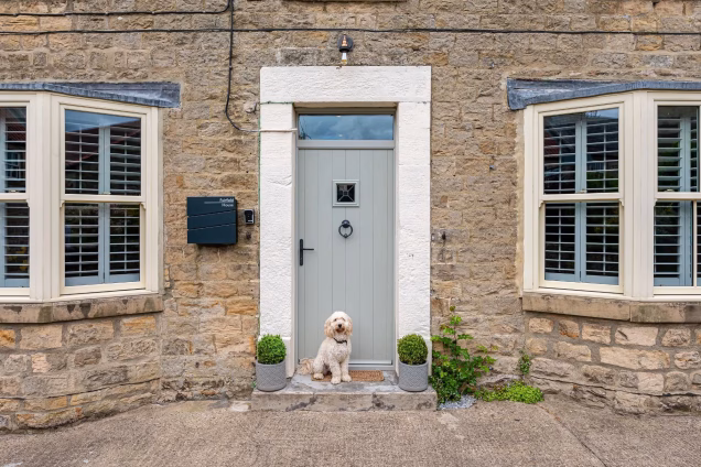dog in front of door to house in richmond